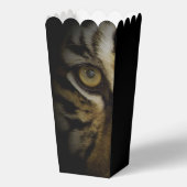 Ballotins Dans l'oeil d'un tigre (Recto)