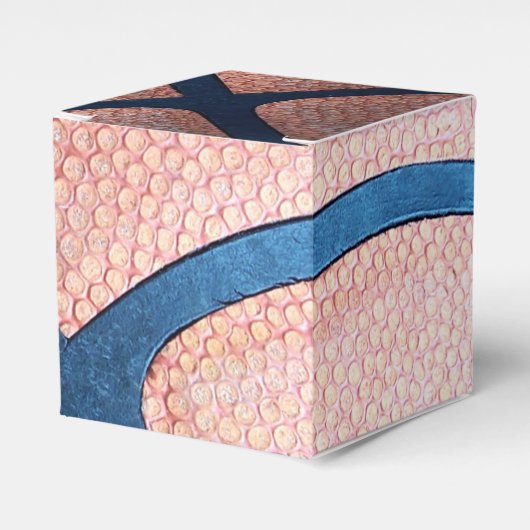 Ballotins de basket-ball (Verso)