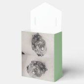 Ballotins De l'éditeur Cat par RoseWrites Ballotin (Ouvert)