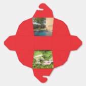 Ballotins Delaney Ballotin (Déplié)