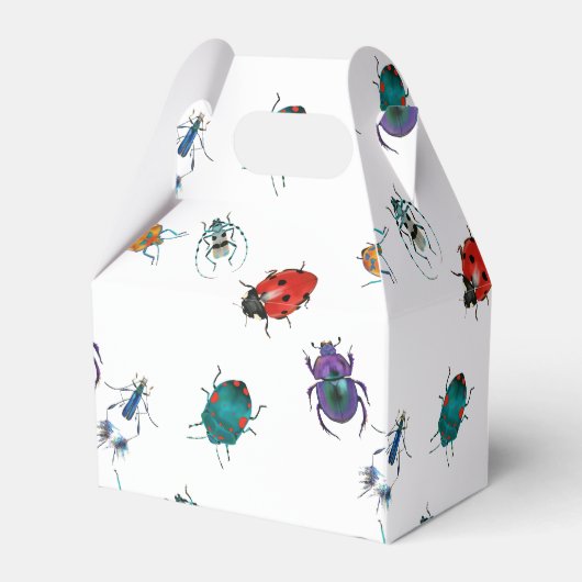 Ballotins Dendroctones colorés (Arrière)