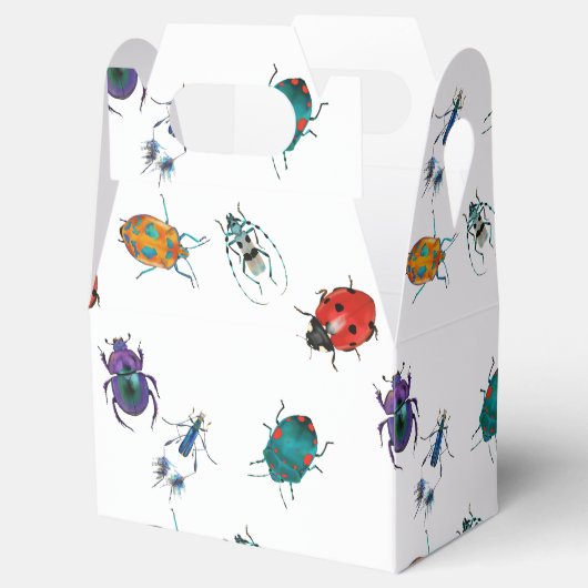 Ballotins Dendroctones colorés (Ouvert)