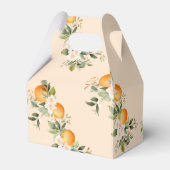 Ballotins Deux petites cuties jumeaux citrus baby shower (Arrière)