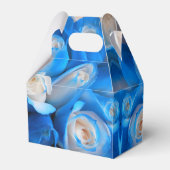 Ballotins Diemudis (Arrière)