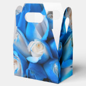 Ballotins Diemudis (Ouvert)