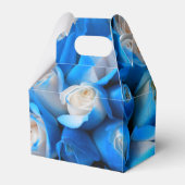 Ballotins Diemudis (Verso)