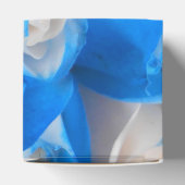 Ballotins Diemudis (Haut)