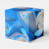 Ballotins Diemudis (Arrière)