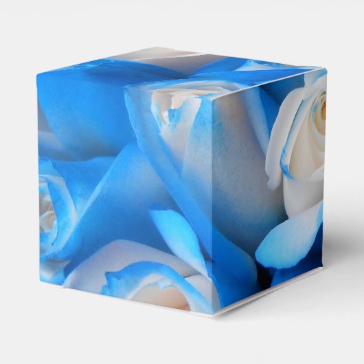 Ballotins Diemudis (Arrière)