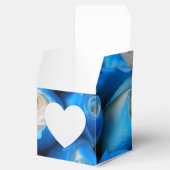 Ballotins Diemudis (Ouvert)