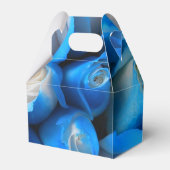 Ballotins Diemudis (Verso)