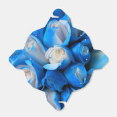 Ballotins Diemudis (Déplié)