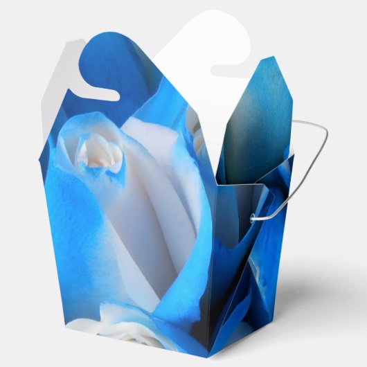 Ballotins Diemudis (Ouvert)