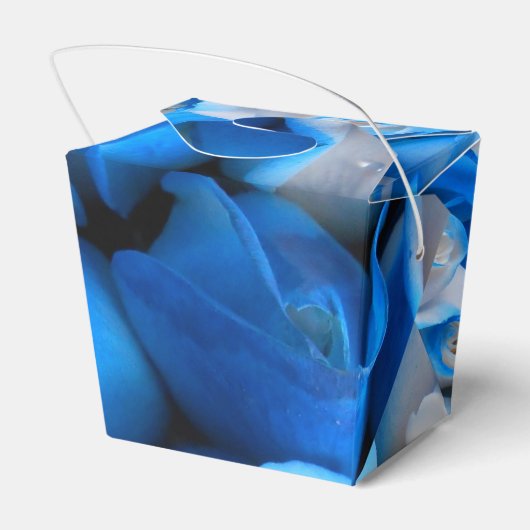 Ballotins Diemudis (Arrière)