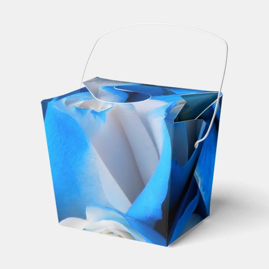 Ballotins Diemudis (Verso)