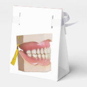 Ballotins Diplôme d'études dentaires (Arrière)