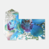 Ballotins Donella (Déplié)