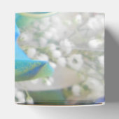 Ballotins Donella (Haut)