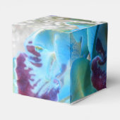 Ballotins Donella (Arrière)