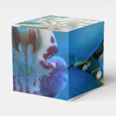 Ballotins Donella (Verso)