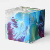 Ballotins Donella (Arrière)