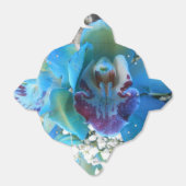 Ballotins Donella (Déplié)