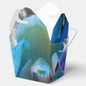 Ballotins Donella (Ouvert)