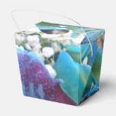 Ballotins Donella (Arrière)