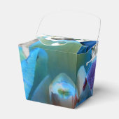 Ballotins Donella (Verso)