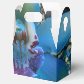 Ballotins Donella (Ouvert)