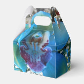 Ballotins Donella (Verso)