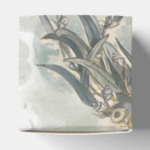 Ballotins Douce eau-forte Feuilles d'eucalyptus Vert Baby Sh (Haut)