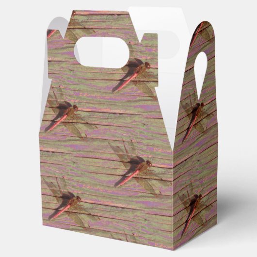 Ballotins Dragonfly (Ouvert)