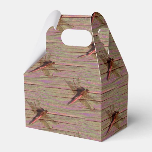 Ballotins Dragonfly (Verso)