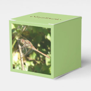 Ballotins Dragonfly sur un Ballotin de Twig