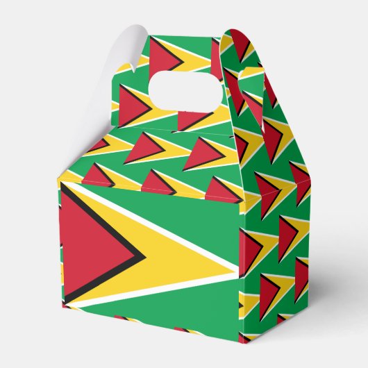 Ballotins Drapeau Guyana (Verso)