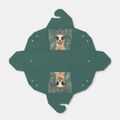 Ballotins Drôle Ballotin avec Curious Jouer Llama (Déplié)