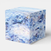 Ballotins Eau bleue (Arrière)