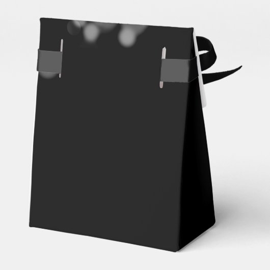 Ballotins Elégant Mariage Lumières Argent (Arrière)