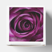 Ballotins Elegant Purple Roses Close Up (Haut)