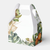 Ballotins Élégante verdure des agrumes botaniques (Arrière)