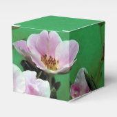 Ballotins Élégantes fleurs de rose sauvage fraîche en vert (Verso)