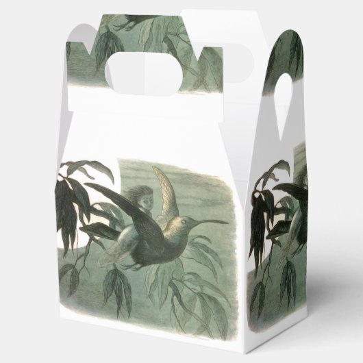 Ballotins Elf Fairies Elves Lune Scène nocturne Oiseau Volan (Ouvert)