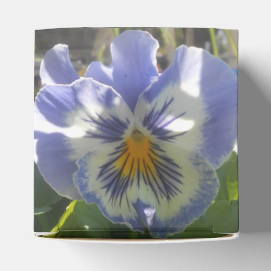 Ballotins Eloise (Haut)