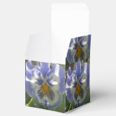 Ballotins Eloise (Ouvert)