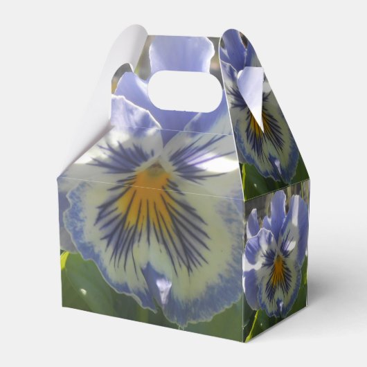 Ballotins Eloise (Arrière)