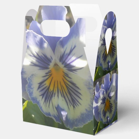 Ballotins Eloise (Ouvert)