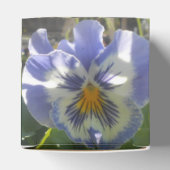 Ballotins Eloise (Haut)