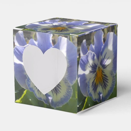 Ballotins Eloise (Verso)