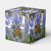 Ballotins Eloise (Arrière)